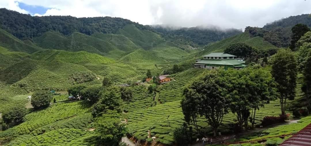 Muslim Homstay@Crown Imperial Court Cameron Highlands Extérieur photo