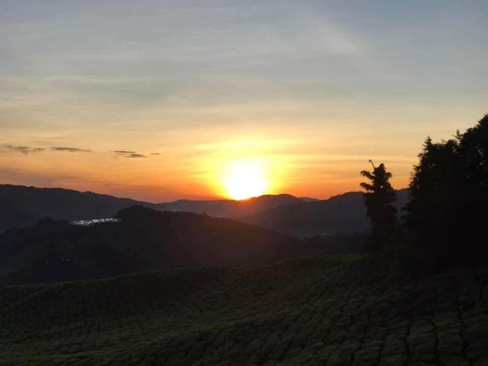 Muslim Homstay@Crown Imperial Court Cameron Highlands Extérieur photo