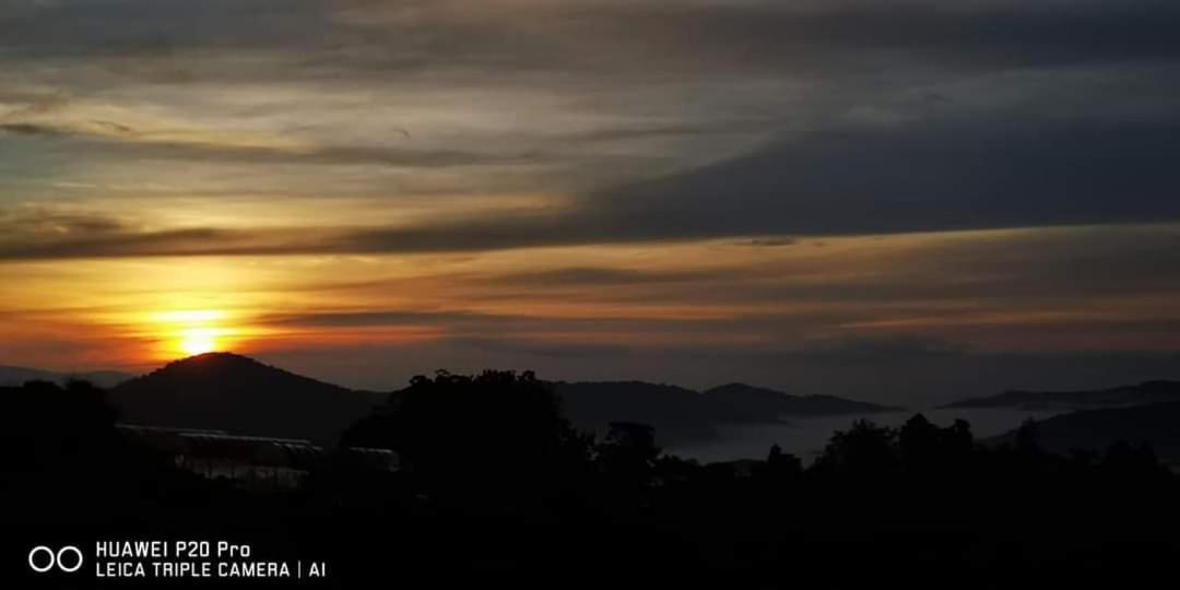 Muslim Homstay@Crown Imperial Court Cameron Highlands Extérieur photo